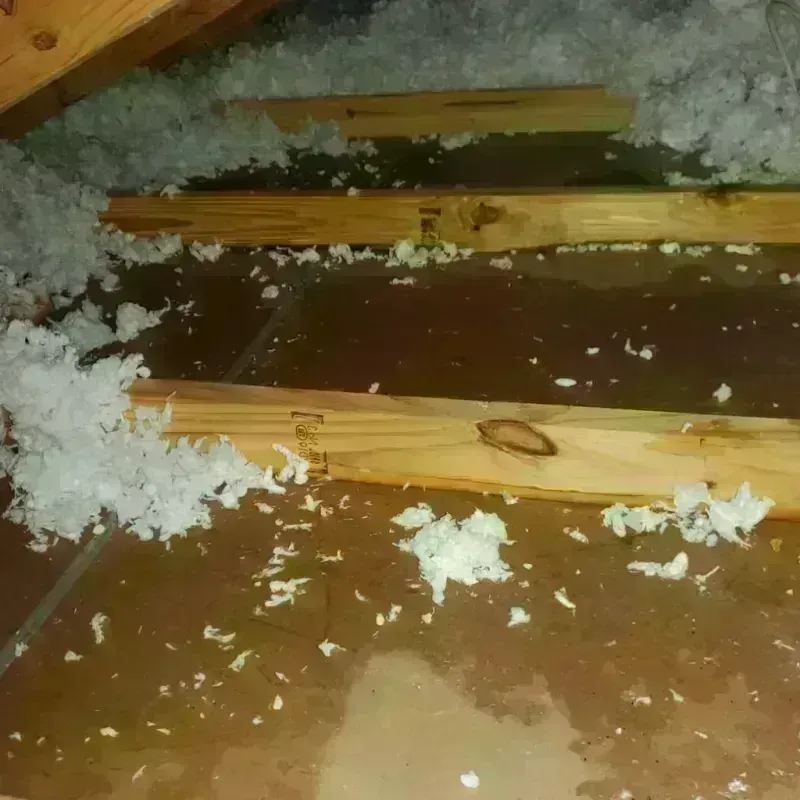 Attic Water Damage in Lawrence County, AR