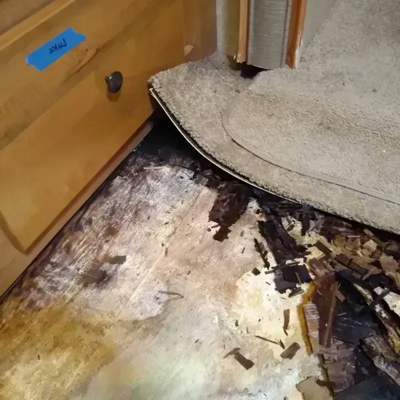 Best Wood Floor Water Damage Service in Lawrence County, AR